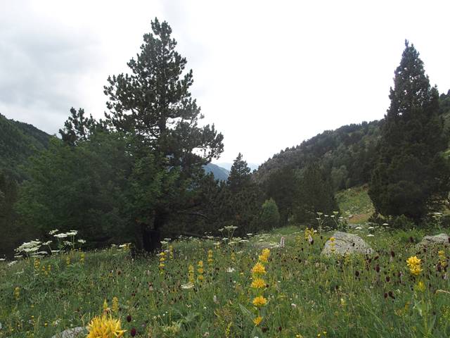 andorre-317