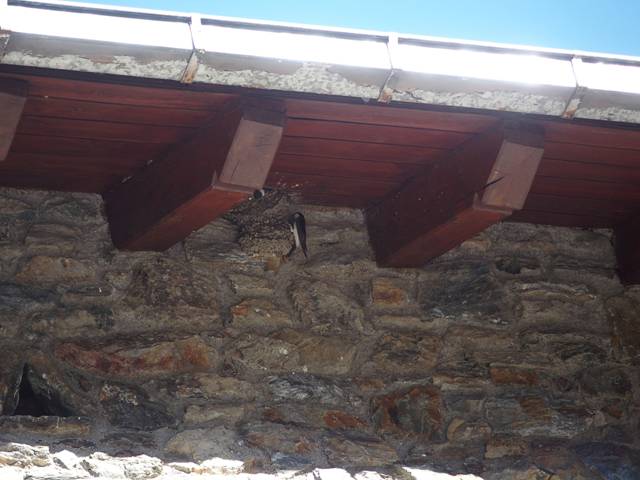 andorre-322
