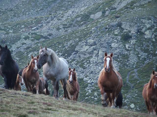 andorre-367