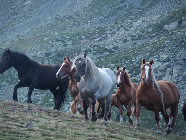 andorre-368