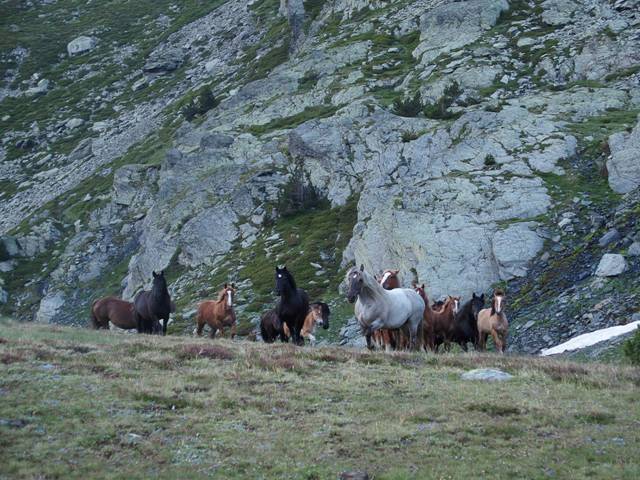 andorre-369