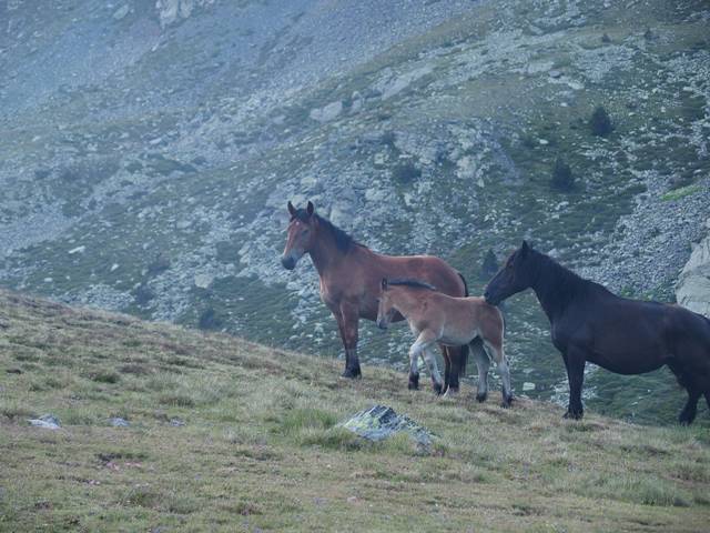andorre-372