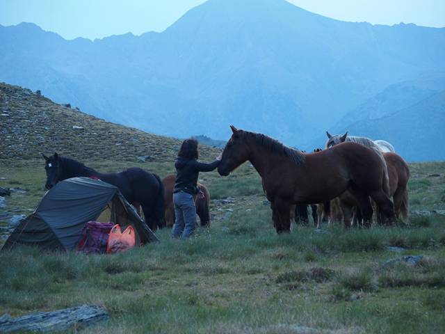 andorre-375