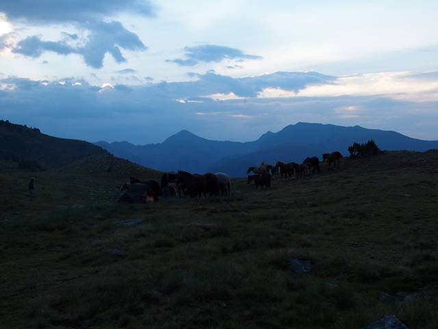 andorre-376