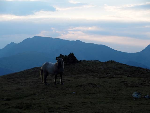 andorre-381