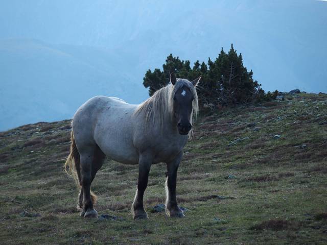 andorre-382