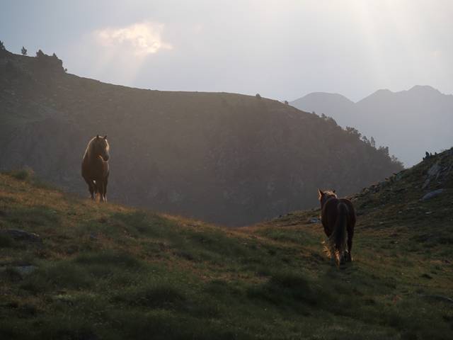 andorre-386