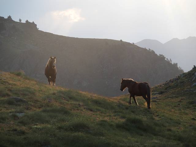 andorre-387