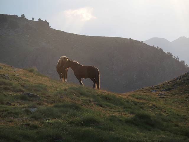 andorre-388