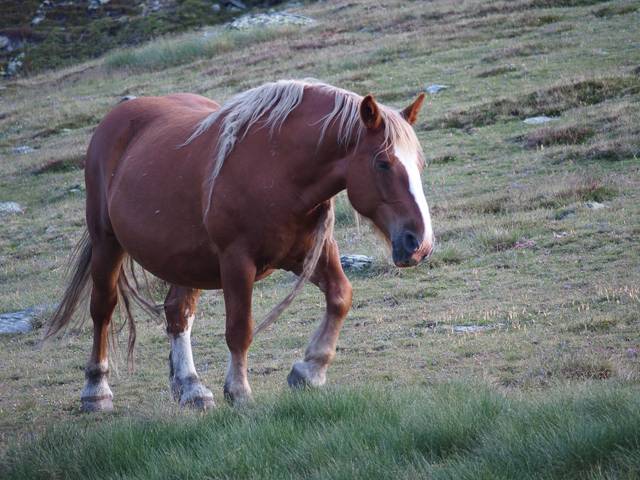andorre-389