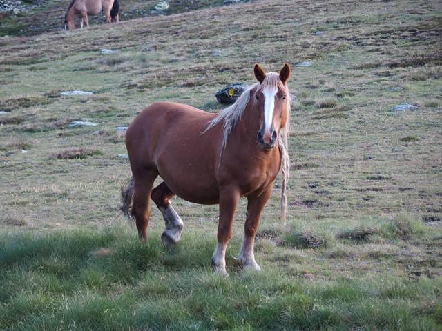 andorre-390