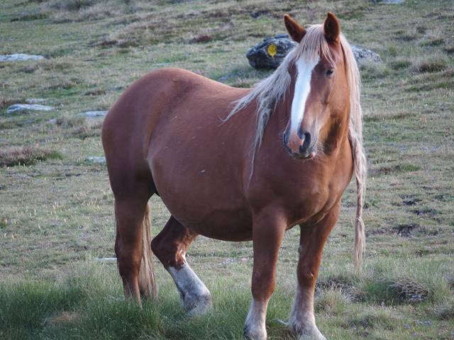 andorre-391