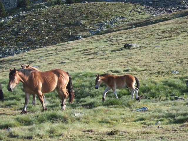 andorre-392