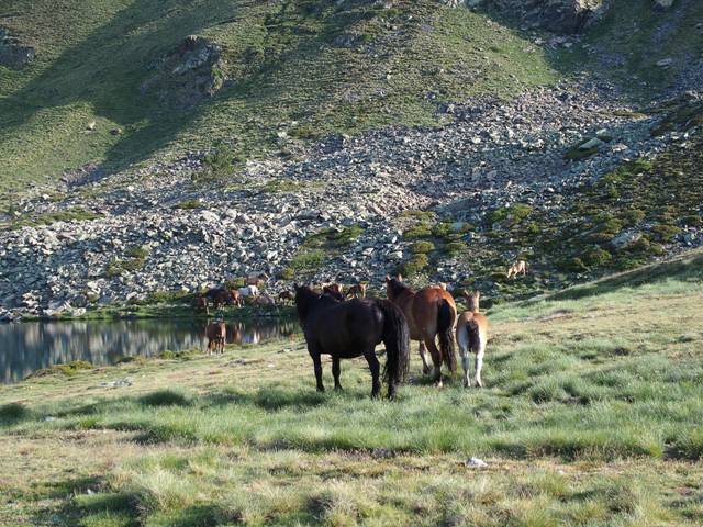 andorre-393