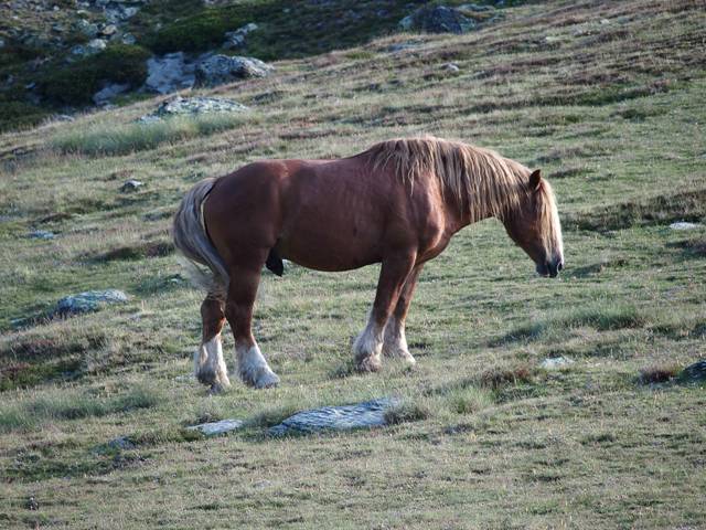 andorre-396