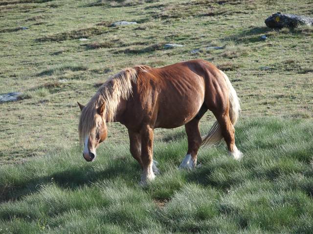 andorre-400