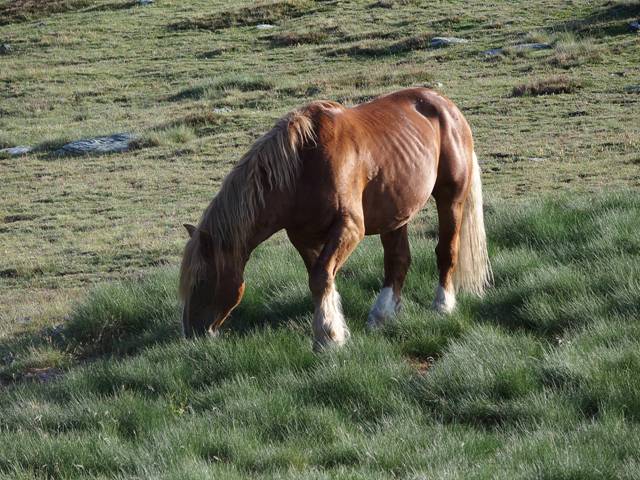 andorre-401