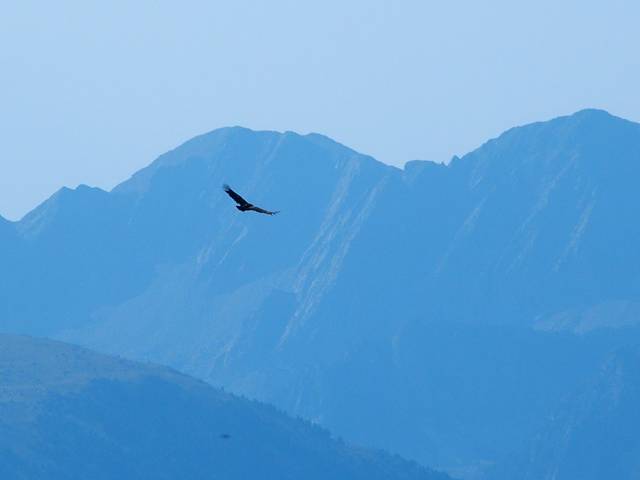 andorre-407