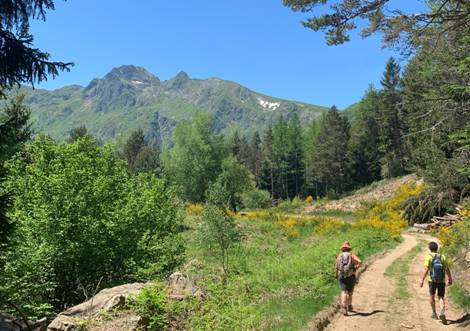 Une image contenant extrieur, herbe, montagne, marchant

Description gnre automatiquement