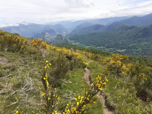 Une image contenant montagne, herbe, extrieur, champ

Description gnre automatiquement